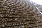Dachreinigung & Dachsanierung: Reinigung von Dächern aller Art sowie Dachsanierung 